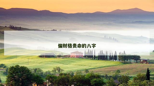 偏财格贵命的八字