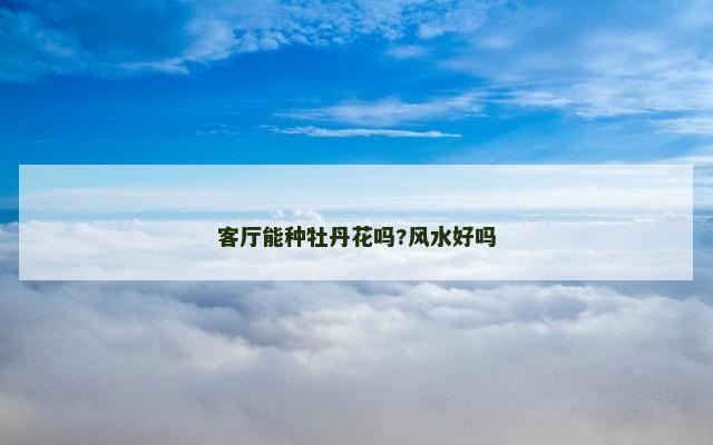 客厅能种牡丹花吗?风水好吗