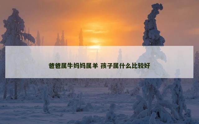 爸爸属牛妈妈属羊 孩子属什么比较好