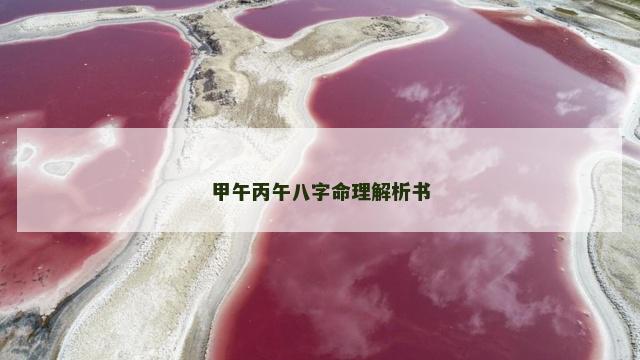 甲午丙午八字命理解析书