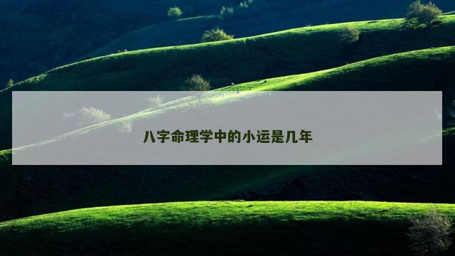 八字命理学中的小运是几年