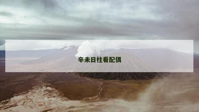 辛未日柱看配偶