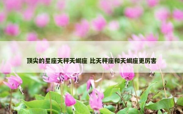 顶尖的星座天秤天蝎座 比天秤座和天蝎座更厉害