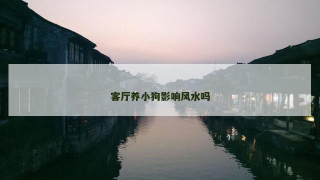 客厅养小狗影响风水吗
