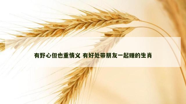 有野心但也重情义 有好处带朋友一起赚的生肖