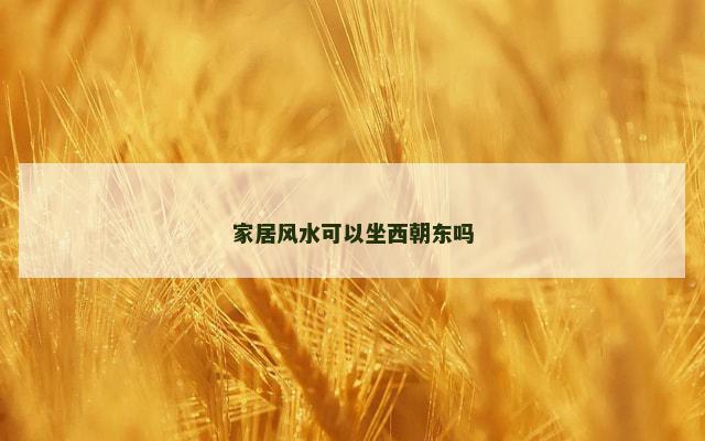 家居风水可以坐西朝东吗
