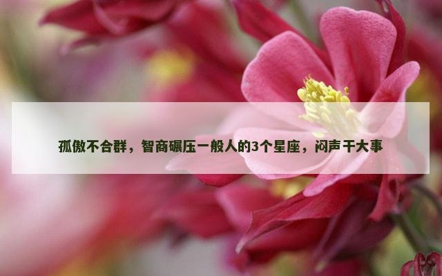 孤傲不合群，智商碾压一般人的3个星座，闷声干大事