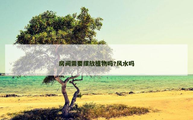 房间需要摆放植物吗?风水吗
