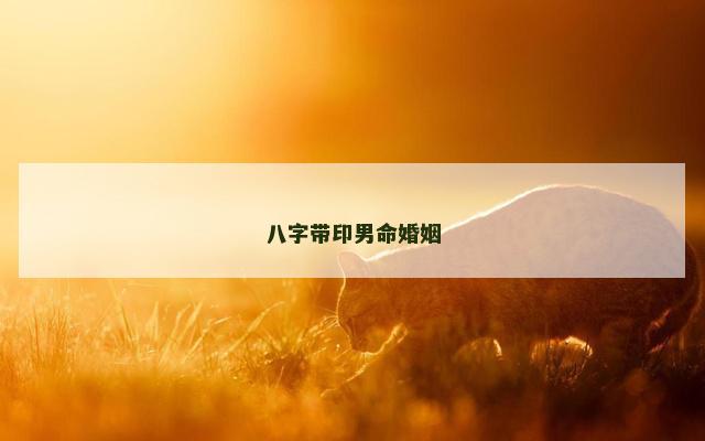 八字带印男命婚姻