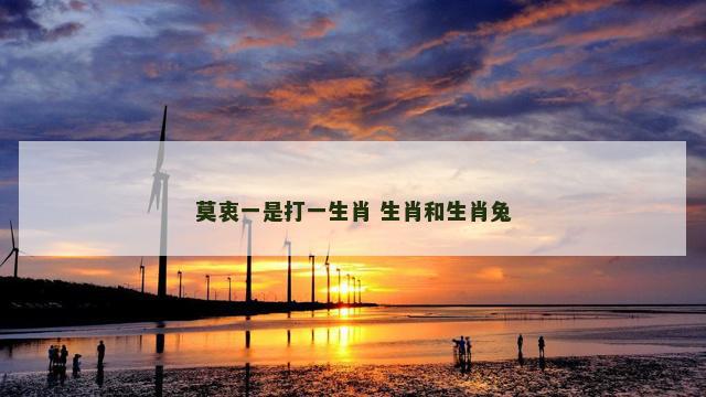 莫衷一是打一生肖 生肖和生肖兔