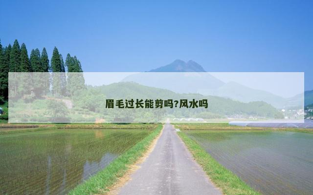 眉毛过长能剪吗?风水吗