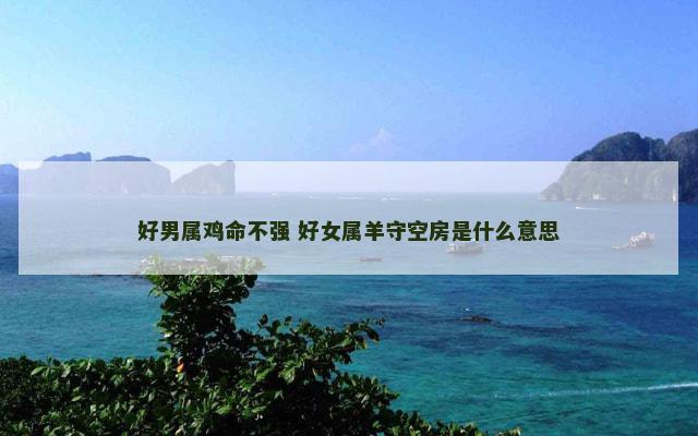 好男属鸡命不强 好女属羊守空房是什么意思