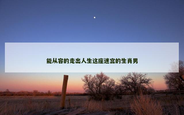 能从容的走出人生这座迷宫的生肖男