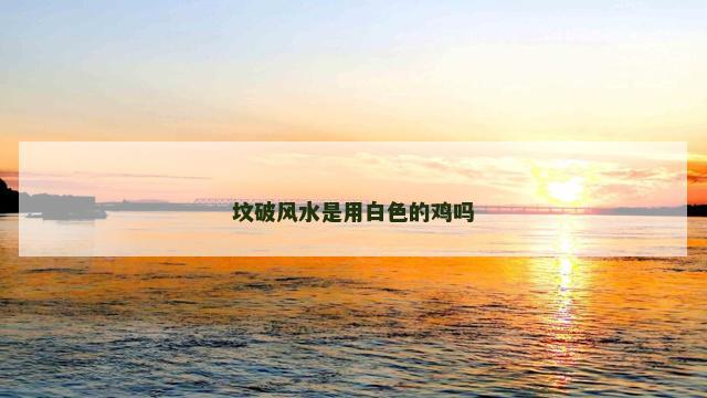 坟破风水是用白色的鸡吗