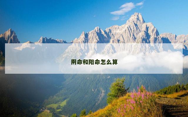 阴命和阳命怎么算