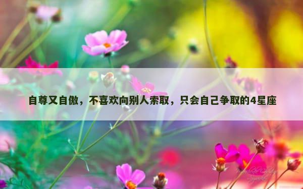 自尊又自傲，不喜欢向别人索取，只会自己争取的4星座