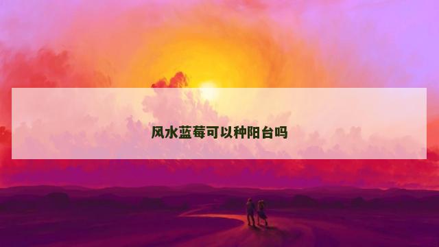 风水蓝莓可以种阳台吗