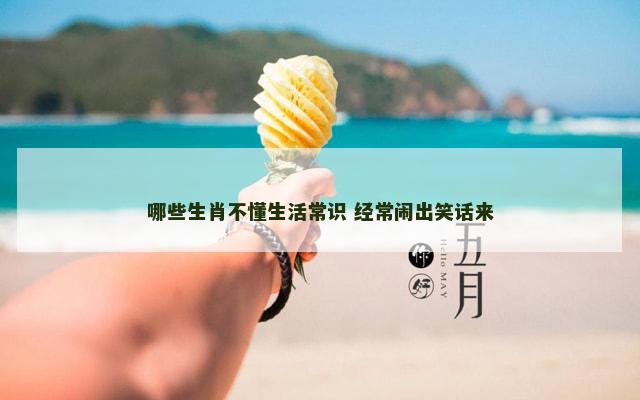 哪些生肖不懂生活常识 经常闹出笑话来