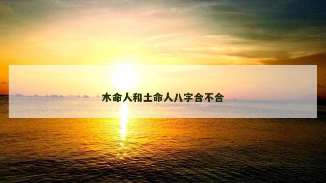 木命人和土命人八字合不合