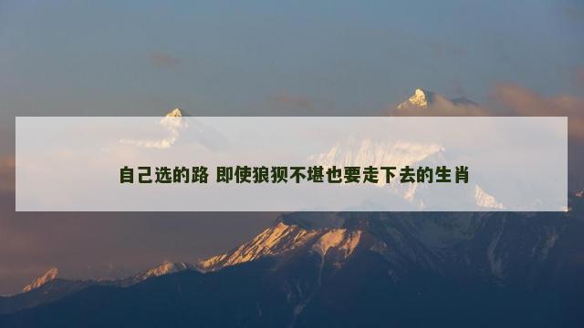 自己选的路 即使狼狈不堪也要走下去的生肖