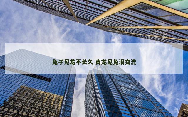 兔子见龙不长久 青龙见兔泪交流