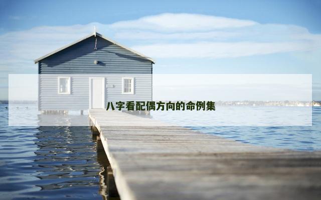 八字看配偶方向的命例集