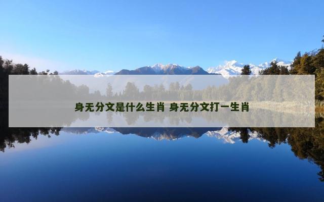 身无分文是什么生肖 身无分文打一生肖