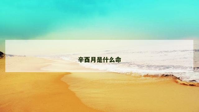 辛酉月是什么命