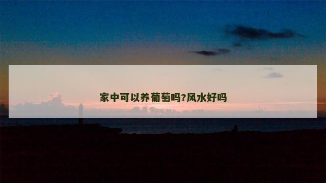 家中可以养葡萄吗?风水好吗