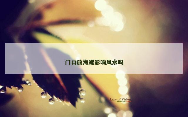 门口放海螺影响风水吗