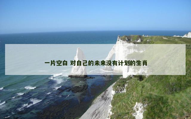 一片空白 对自己的未来没有计划的生肖