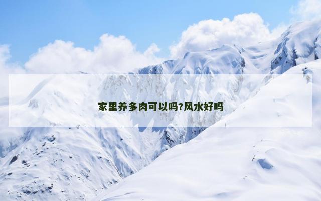 家里养多肉可以吗?风水好吗
