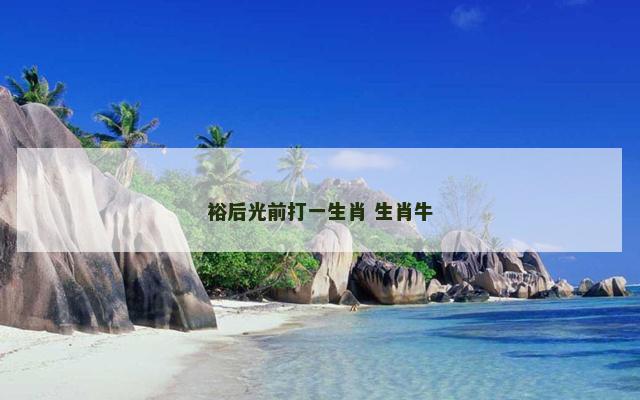 裕后光前打一生肖 生肖牛