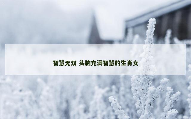 智慧无双 头脑充满智慧的生肖女