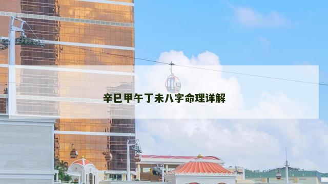 辛巳甲午丁未八字命理详解