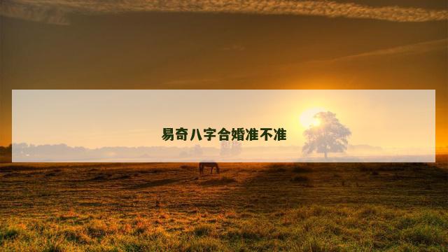 易奇八字合婚准不准