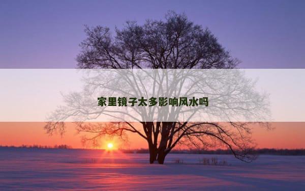 家里镜子太多影响风水吗
