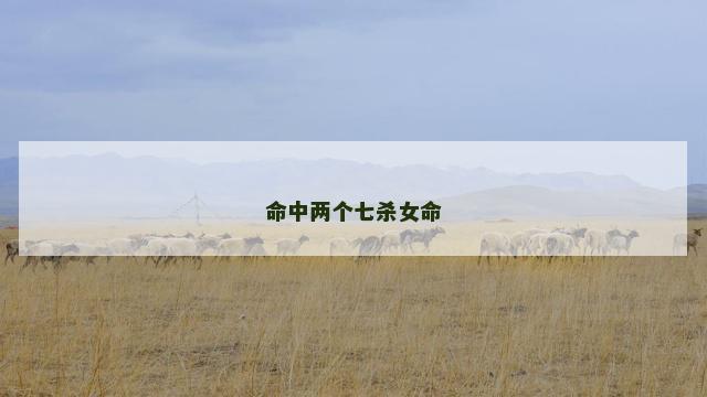 命中两个七杀女命