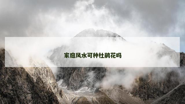 家庭风水可种杜鹃花吗