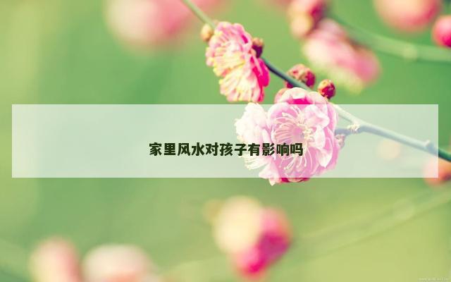 家里风水对孩子有影响吗
