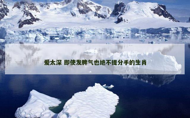 爱太深 即使发脾气也绝不提分手的生肖