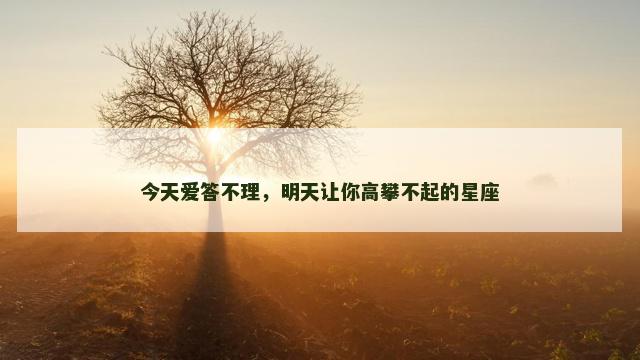 今天爱答不理，明天让你高攀不起的星座