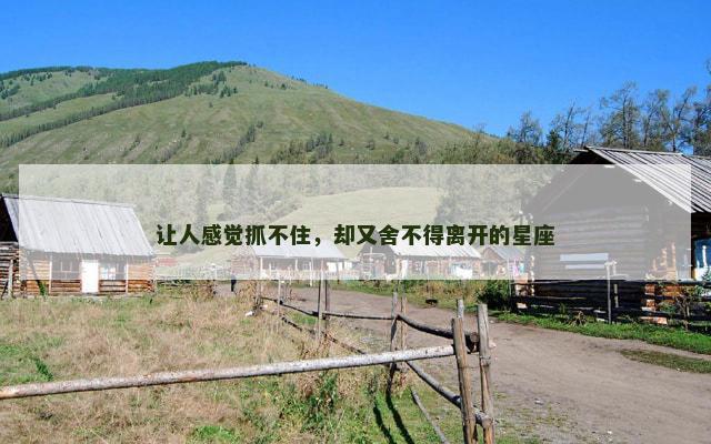 让人感觉抓不住，却又舍不得离开的星座