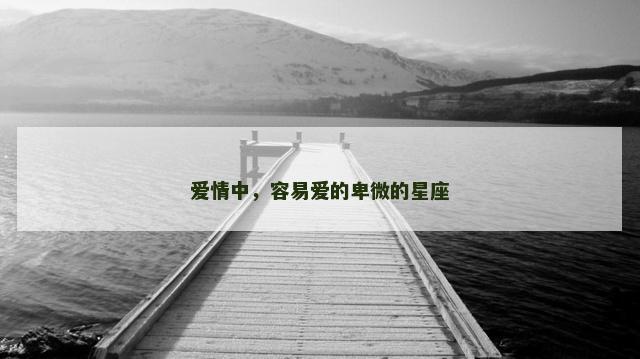 爱情中，容易爱的卑微的星座