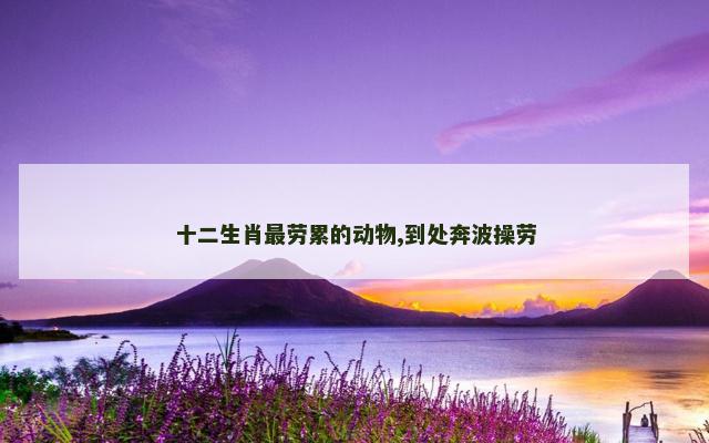 十二生肖最劳累的动物,到处奔波操劳