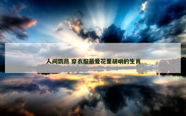 人间鹦鹉 穿衣服最爱花里胡哨的生肖