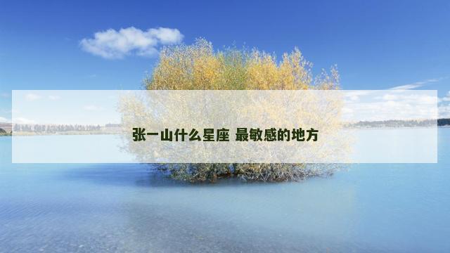 张一山什么星座 最敏感的地方