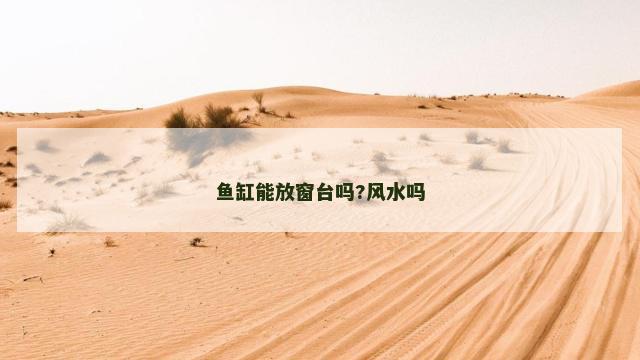 鱼缸能放窗台吗?风水吗