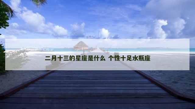 二月十三的星座是什么 个性十足水瓶座