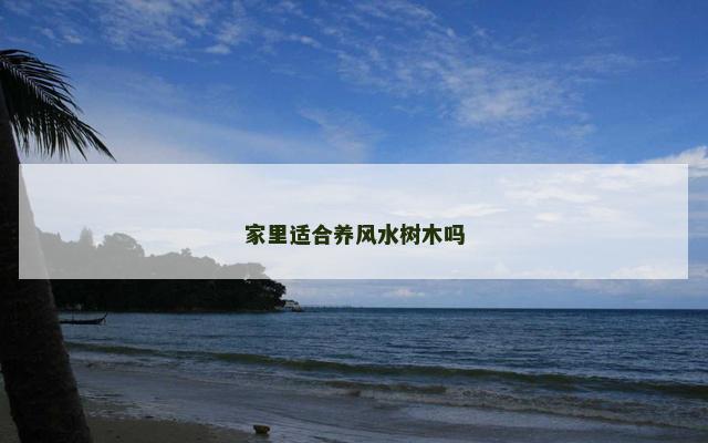 家里适合养风水树木吗